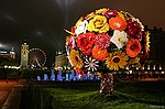 photo No. img_2314
