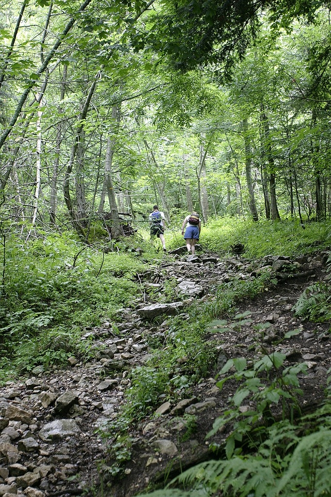 crw_5342