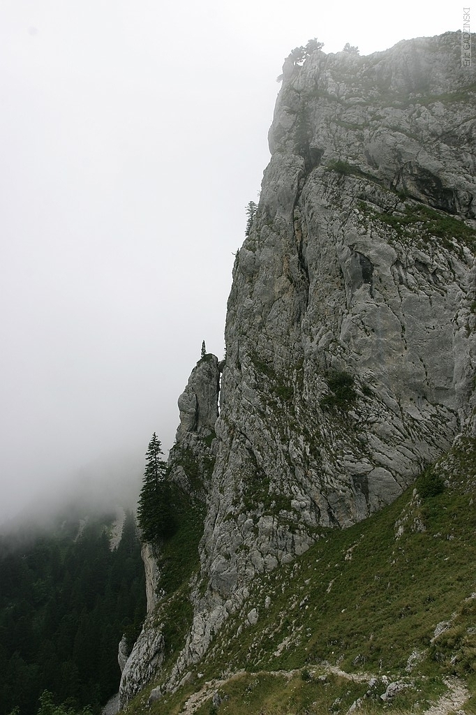 crw_5353