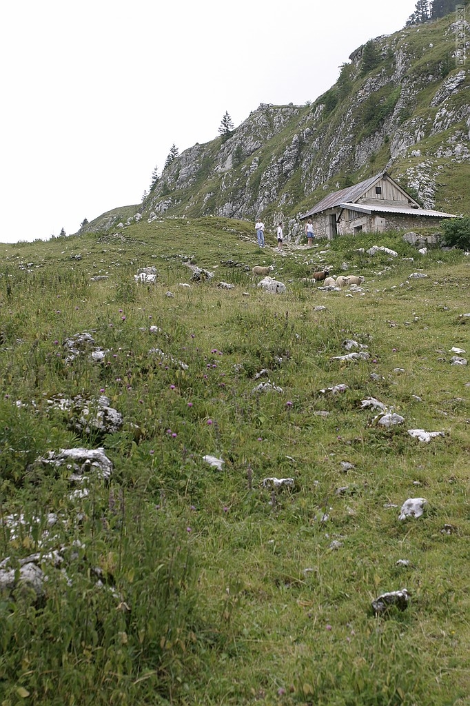 crw_5355