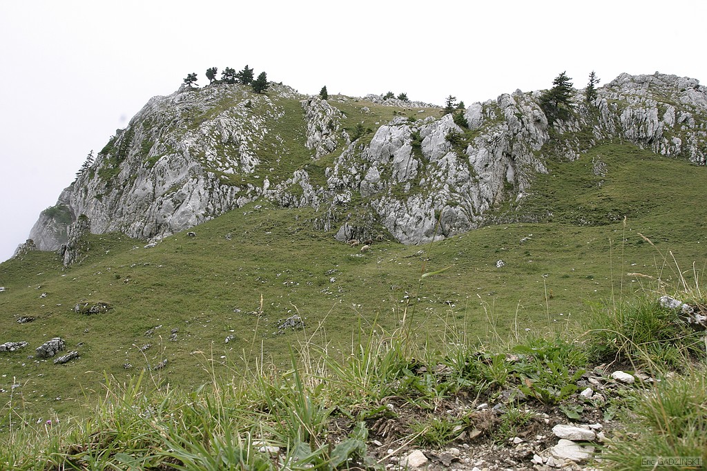 crw_5360