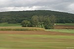 photo No. img_6135