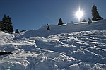 photo No. img_7072