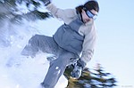 photo No. img_7109