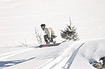 photo No. img_7155