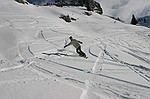 photo No. img_7173