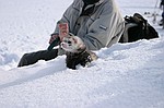 photo No. img_7195