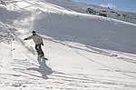 photo No. img_7207