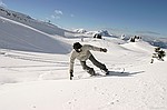 photo No. img_7209
