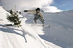 photo No. img_7217