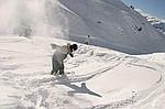 photo No. img_7219