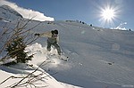 photo No. img_7230