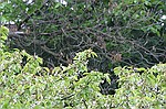 photo No. crw_7853