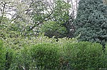 photo No. crw_7855