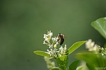 photo No. crw_8999