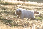 photo No. crw_9561