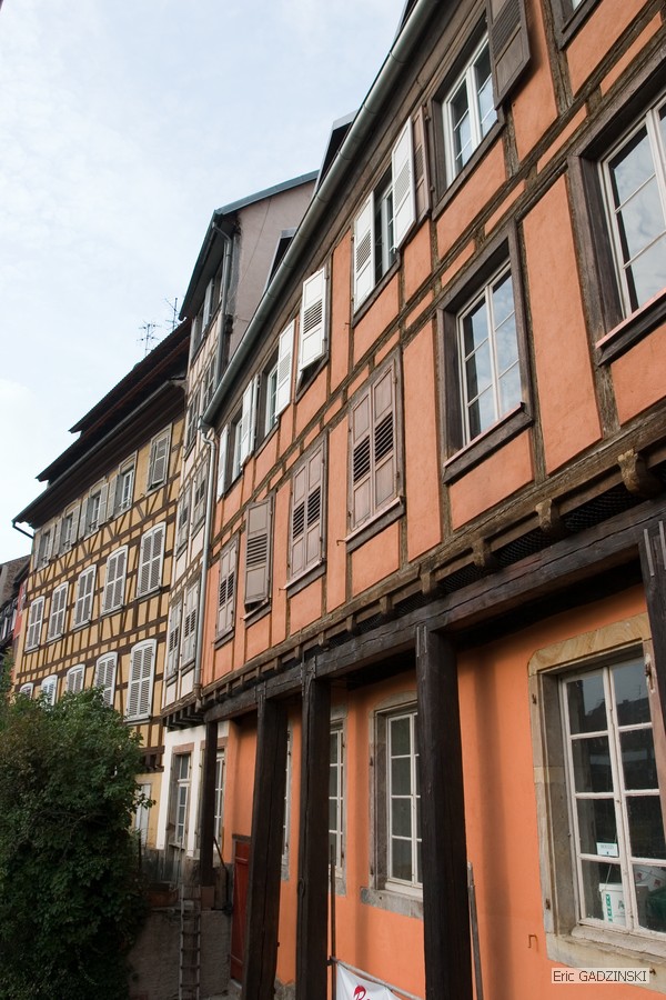 crw_0659