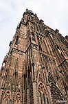 photo No. crw_0615