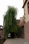 photo No. crw_0646