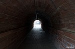 photo No. crw_0650