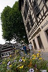photo No. crw_0665