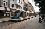 photo No. crw_0684