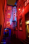 photo No. E5D_0785