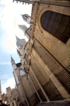 photo No. IMG_2870