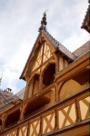 photo No. IMG_2985