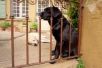 photo No. IMG_3770