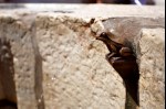 photo No. IMG_4632