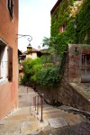 photo No. IMG_4648