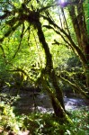 photo No. IMG_4756