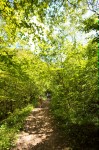 photo No. IMG_4761