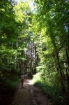 photo No. IMG_4769