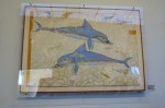 photo No. IMG_5003