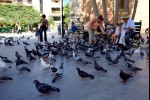photo No. IMG_5021