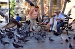 photo No. IMG_5023