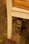 photo No. IMG_5087