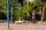 photo No. IMG_5134