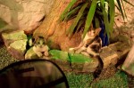 photo No. IMG_5160
