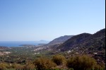 photo No. IMG_5303