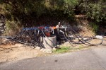 photo No. IMG_5305