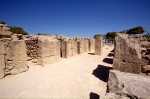 photo No. IMG_5312