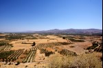 photo No. IMG_5317