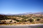 photo No. IMG_5331
