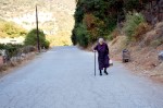 photo No. IMG_5353