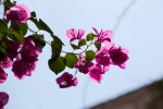 photo No. IMG_5581