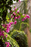 photo No. IMG_5582