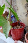 photo No. IMG_5636